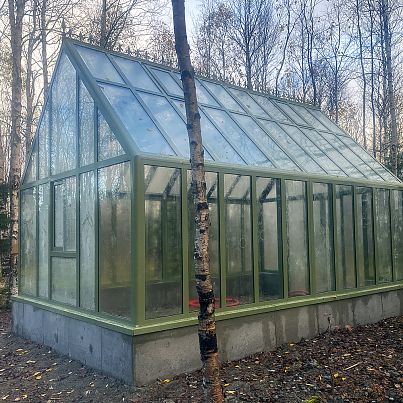 АСТЕРА Макси