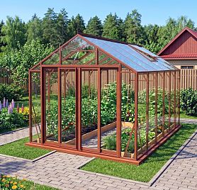 БИОНИКА Комфорт