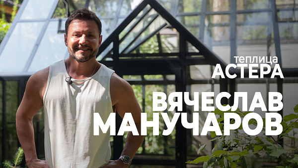 Теплица АСТЕРА ХТ у Вячеслава Манучарова
